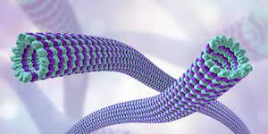 Medical Polymer Market