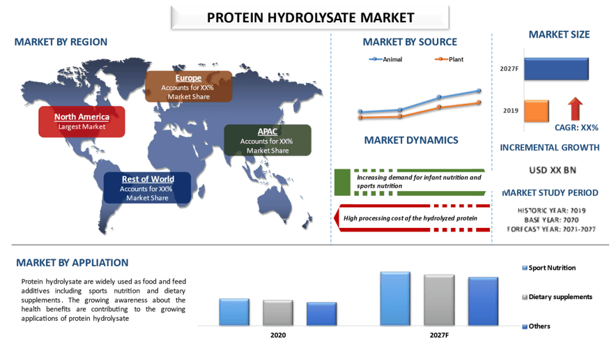 Protein Hydrolysate Market