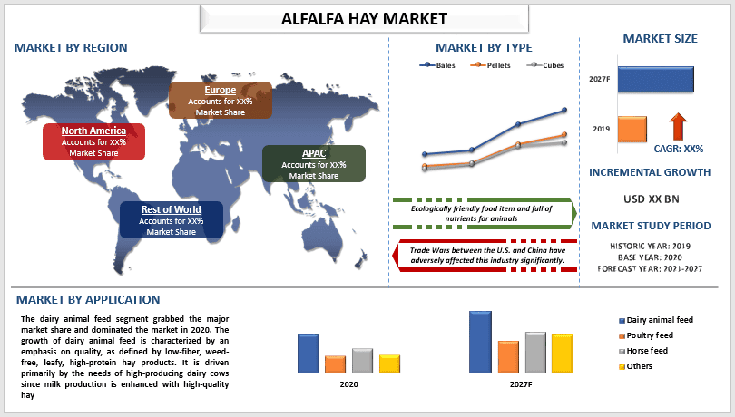 Alfalfa Hay Market