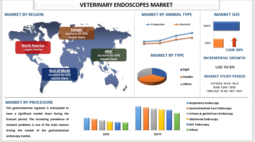 Veterinary Endoscopes Market