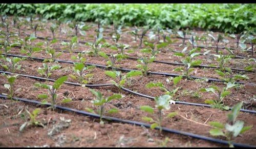 Drip Irrigation Market