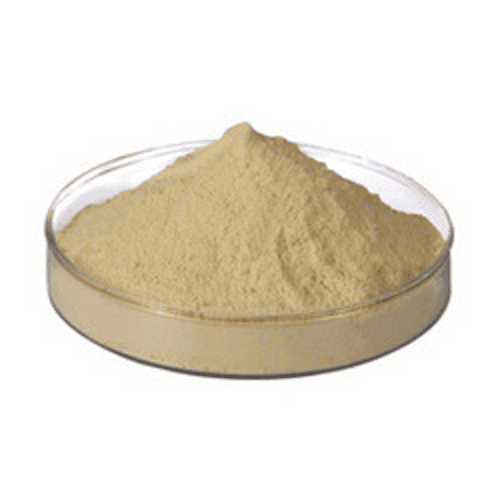 Protein Hydrolysate Market