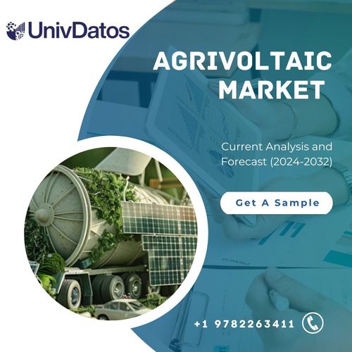 Agrivoltaic Market: Current Analysis and Forecast (2024-2032)